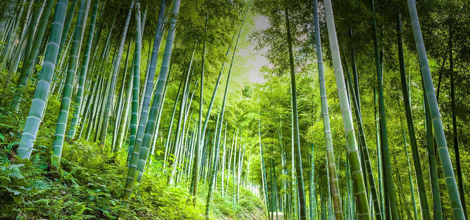 點擊查看詳細信息<br>標題：農村石牌樓圖片